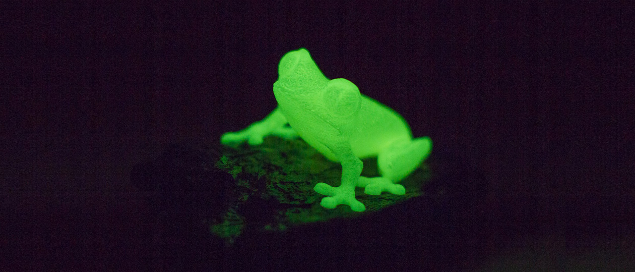 Glow frosch Nachtlicht